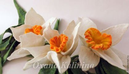 Нарцисс - Калинина (2014)_0.jpg